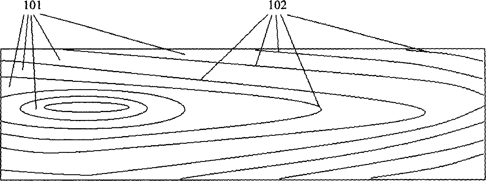 Woody material and its surface processing method