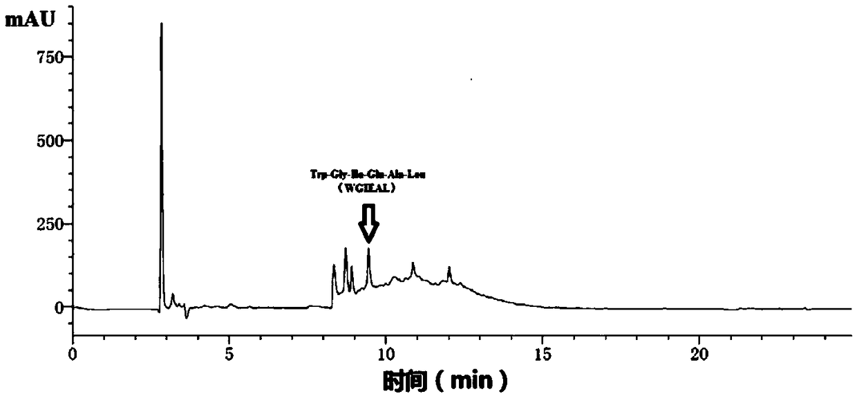 Nibea albiflora swimming bladder-originated antihyperlipidemic hexapeptide and application thereof