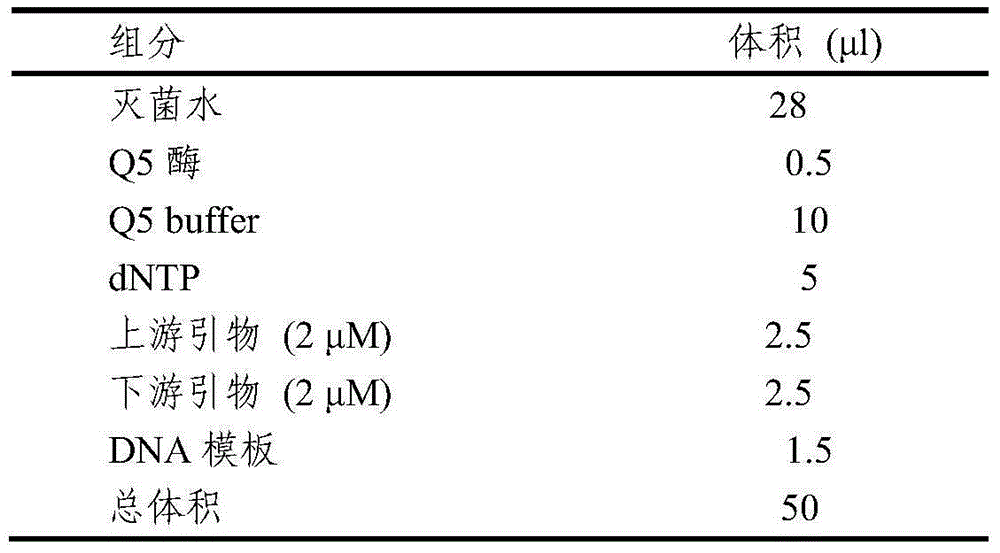 Cattle muscle enhanser and application thereof