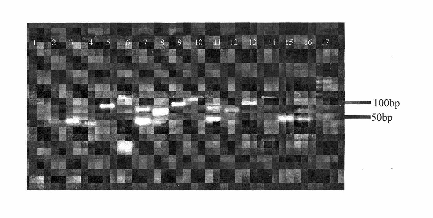 Method for extracting DNA from formalin fixed hair