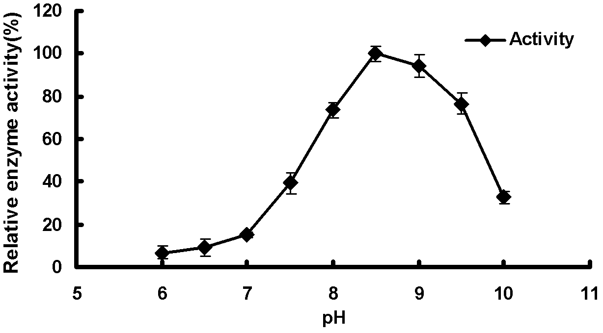 Flavobacterium strain and endo-alginate lyase coding gene and its preparation and application