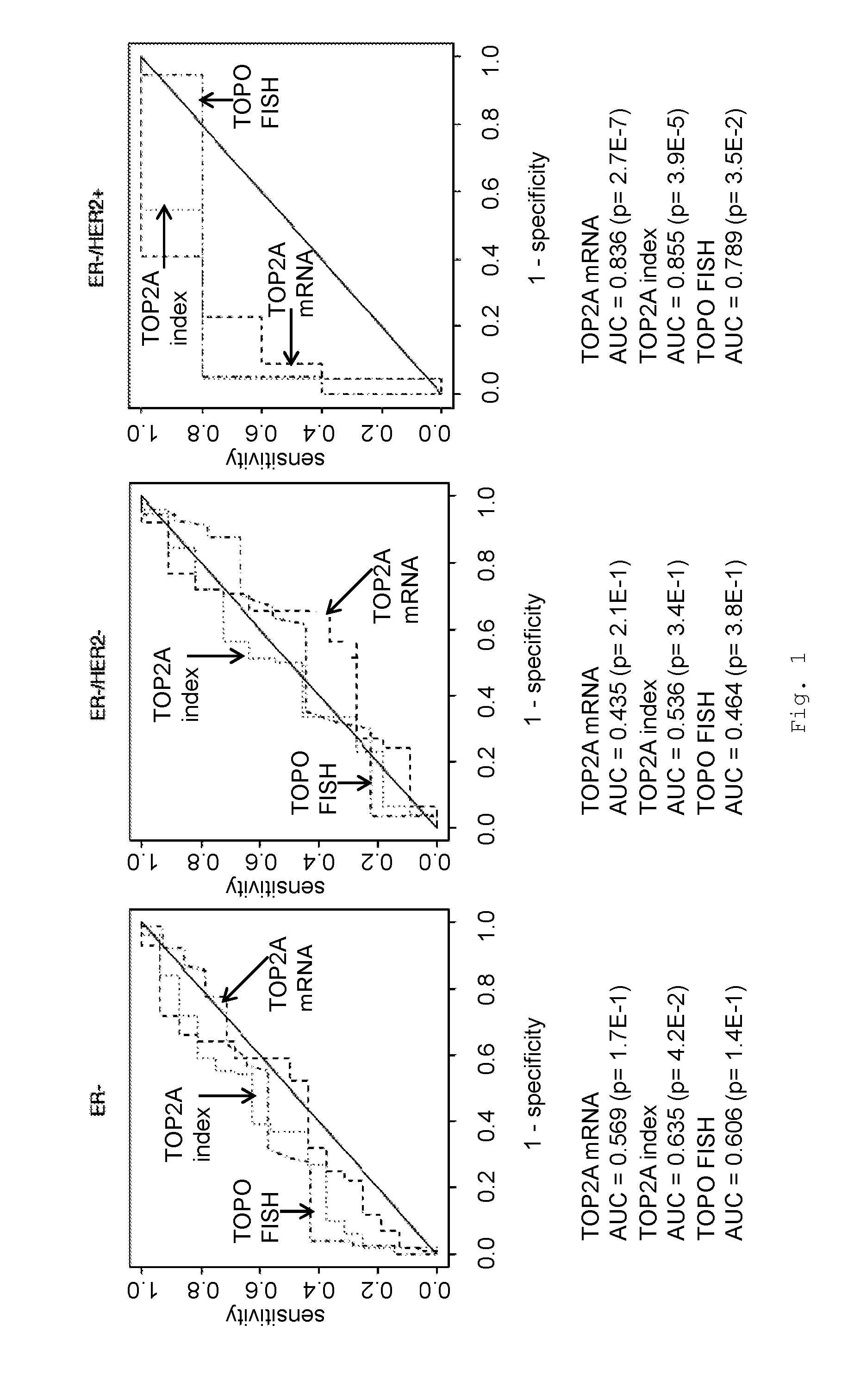 Methods and tools for predicting the efficiency of anthracyclines in cancer