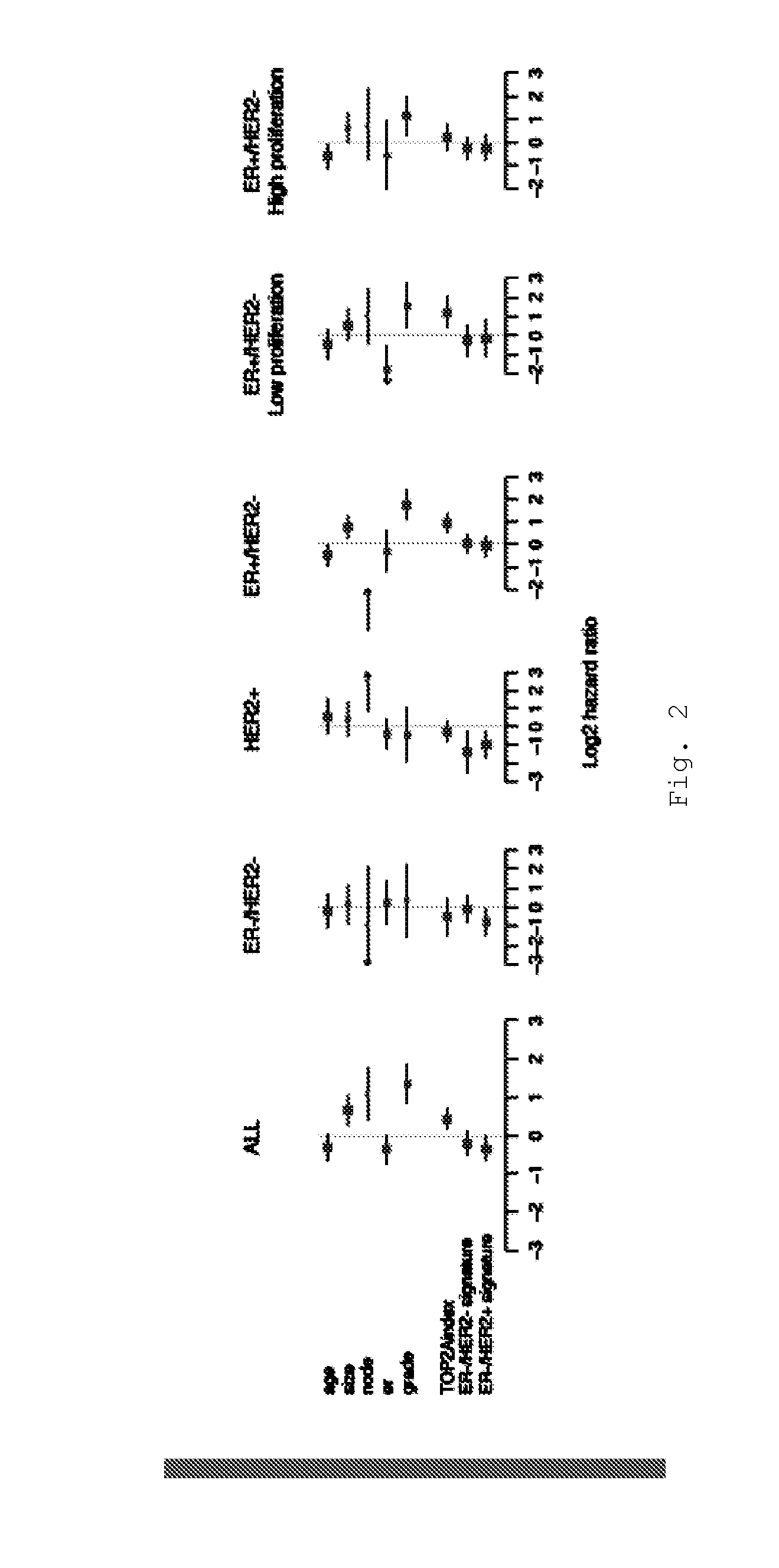 Methods and tools for predicting the efficiency of anthracyclines in cancer