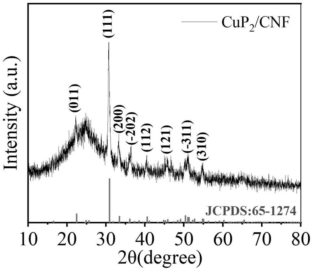 Method for preparing three-dimensional phosphorus-rich compound by combining electrostatic spinning method and low-temperature phosphating method, electrode material and potassium ion battery