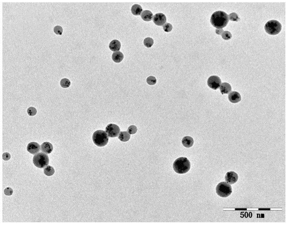 A kind of preparation method and application of chitosan magnetic nano microsphere