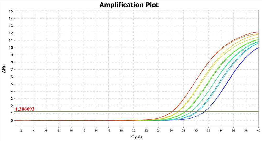 Kit and method for detecting copy number of human 5S ribosome DNA