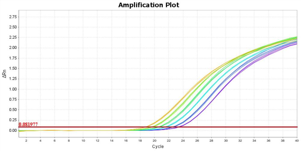 Kit and method for detecting copy number of human 5S ribosome DNA