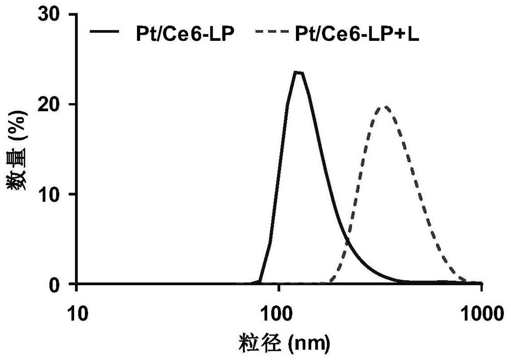 Photosensitive liposome and application thereof