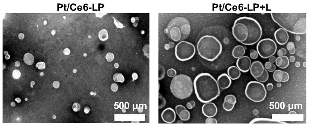 Photosensitive liposome and application thereof