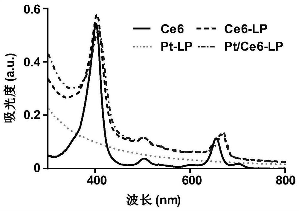 Photosensitive liposome and application thereof