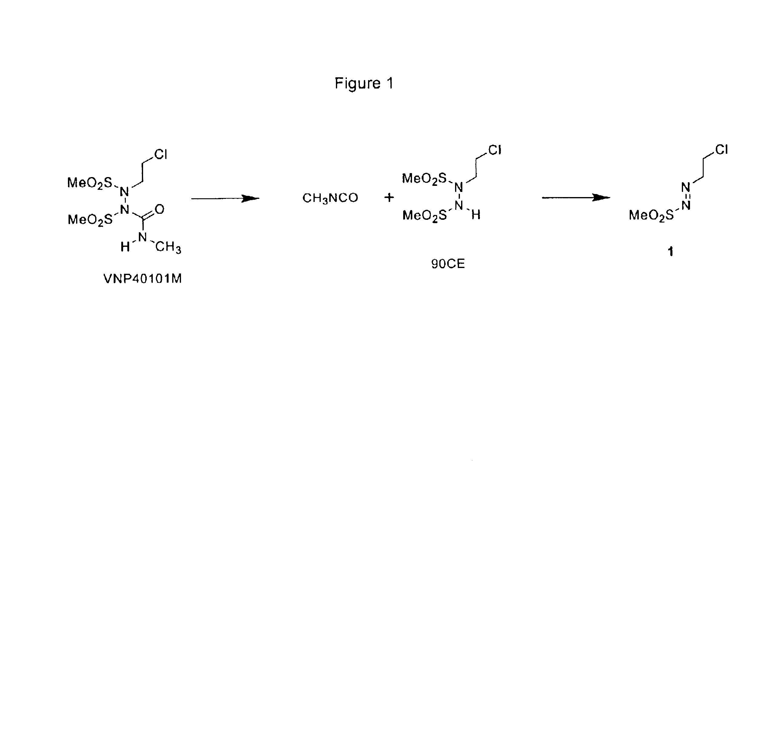 Water-soluble SHPs as novel alkylating agents