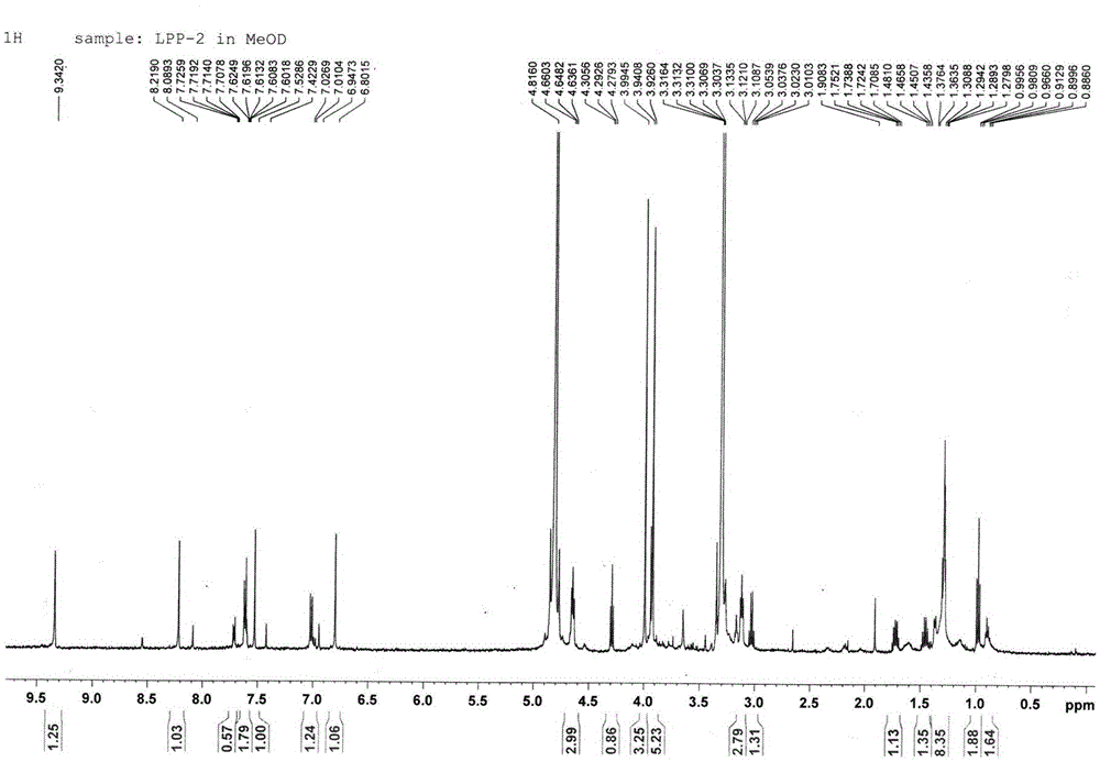 Medicine root berberrubine derived from amur cork-tree processed product and separation preparation method and application thereof