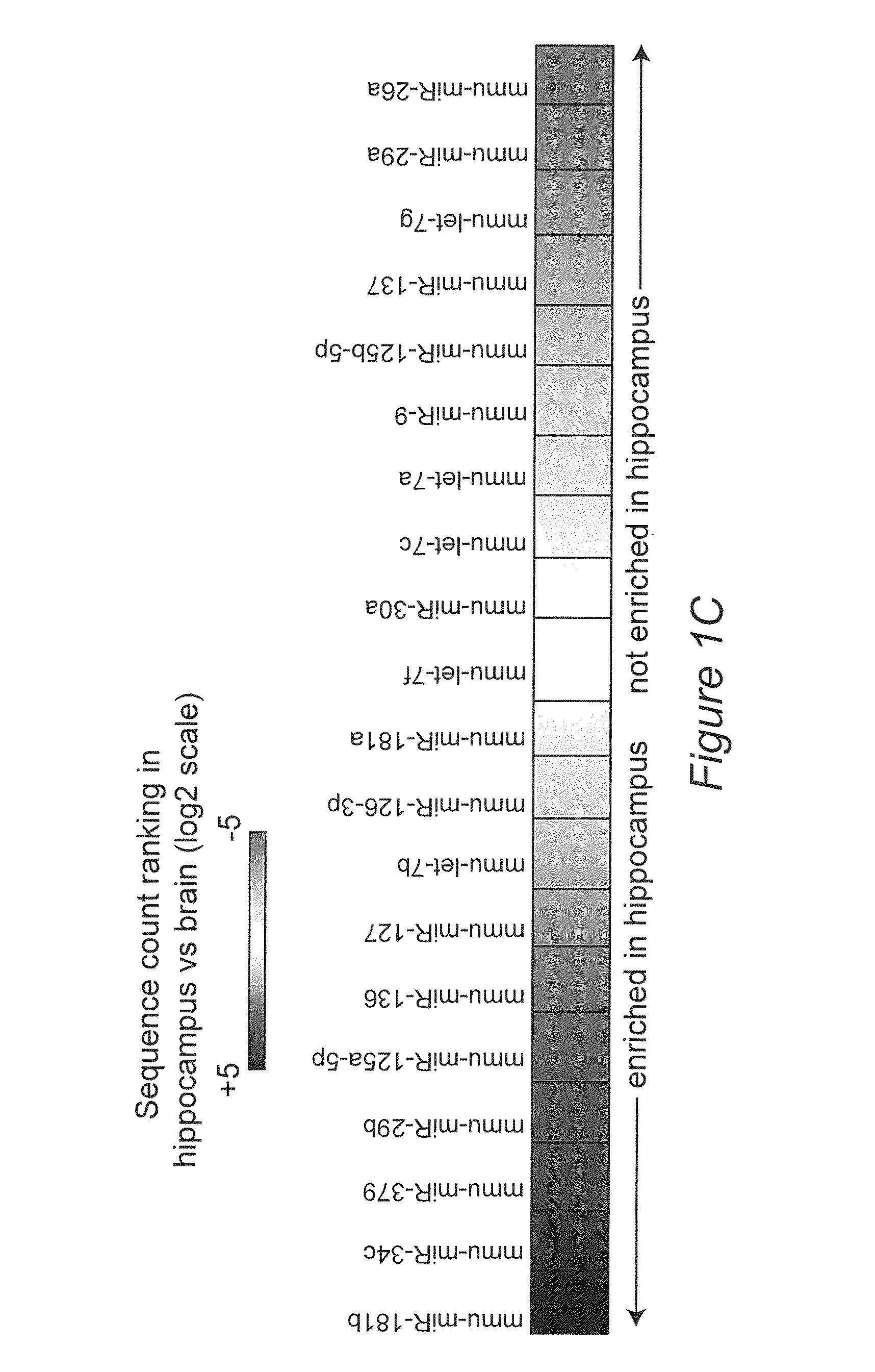Method for preventing or treating memory impairment and pharmaceutical compositions useful therefore