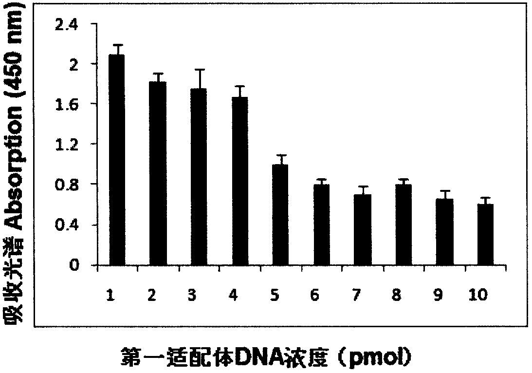 Mammaglobin mRNA detection method and reagent thereof