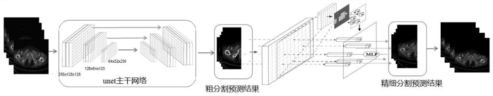 Osteophyte identification method, device, electronic equipment and storage medium