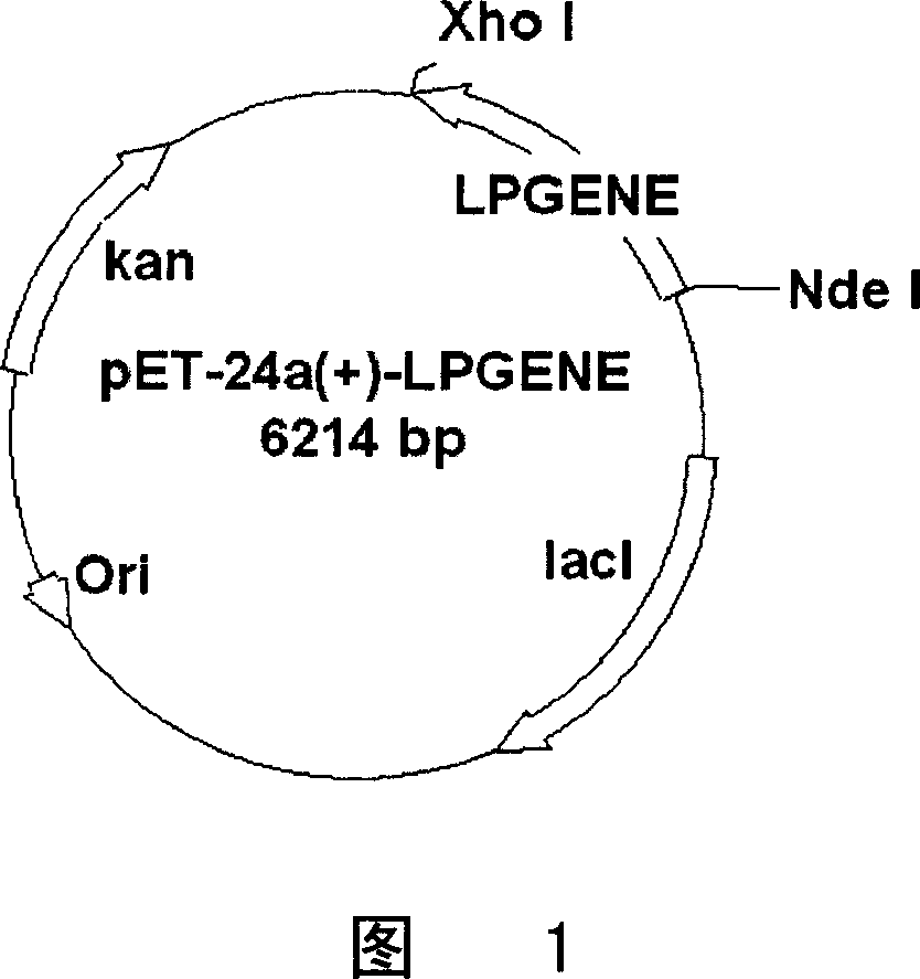 Preparation and purification of telomerase activity inhibition protein