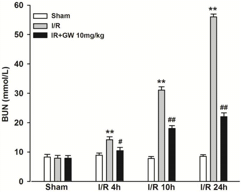 Application of GW3965 for preparation of medicines preventing and treating kidney ischemia reperfusion injuries