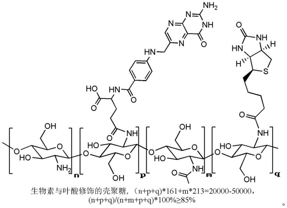 Folacin/biotin modified chitosan material and preparation method thereof