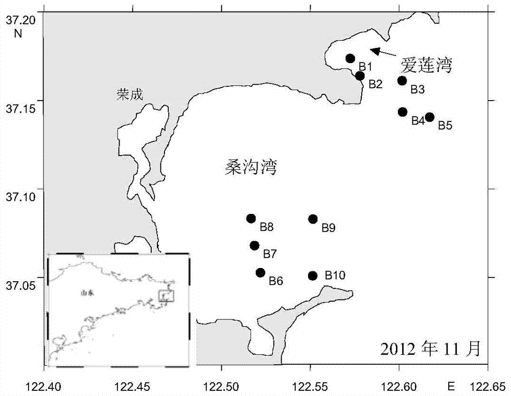 A method for assessing the contribution of shellfish biodeposition to organic carbon in offshore environmental sediments