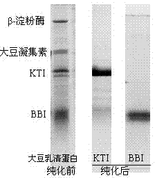 Method for recovery of Kunitz and Bowman-Birk trypsin inhibitors from soybean whey