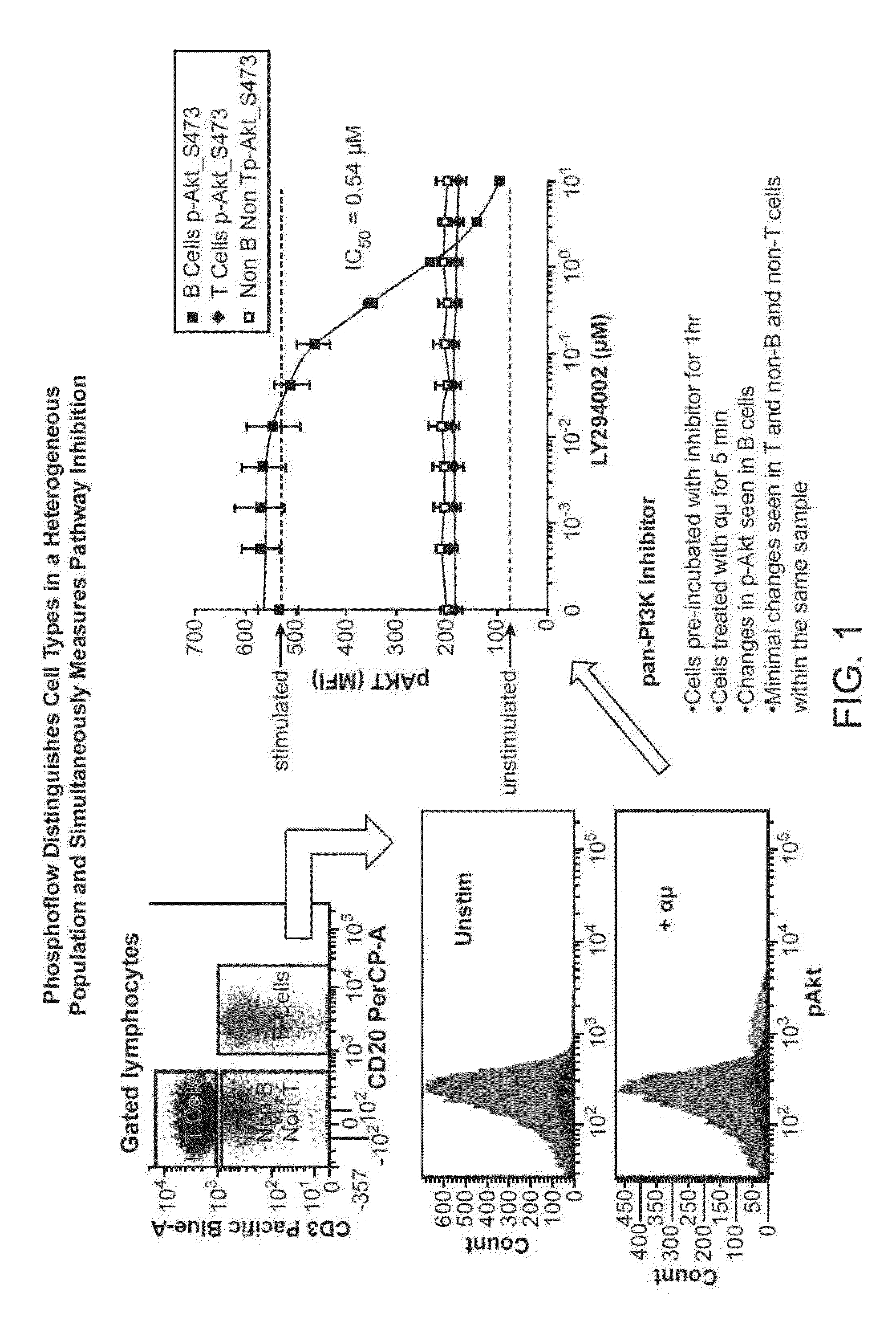 Methods for determining the effects of compounds on jak/stat activity