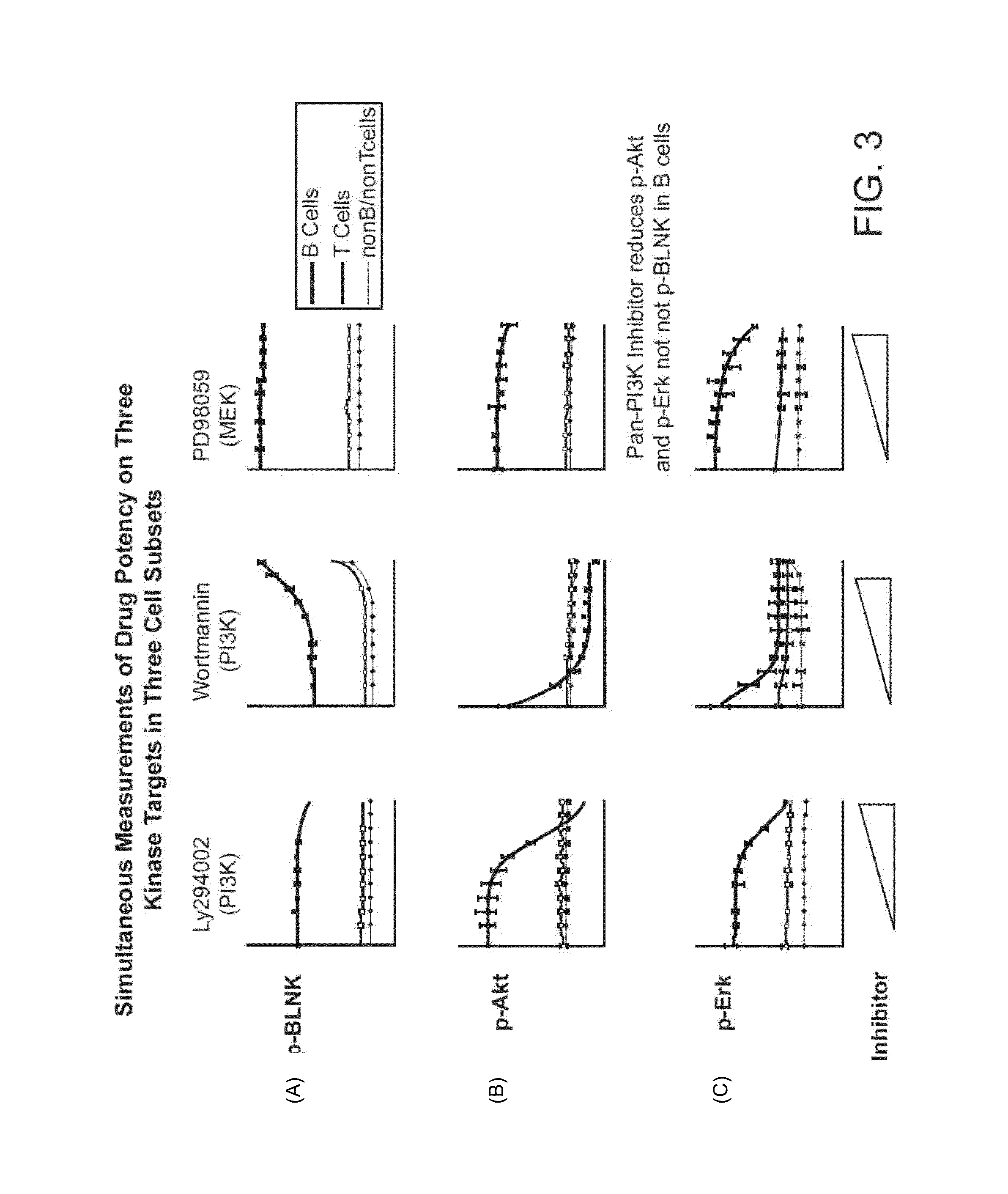 Methods for determining the effects of compounds on jak/stat activity