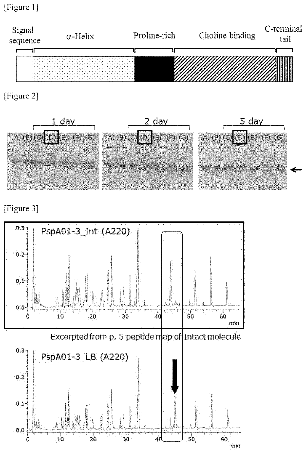 Pneumococcal surface proteins