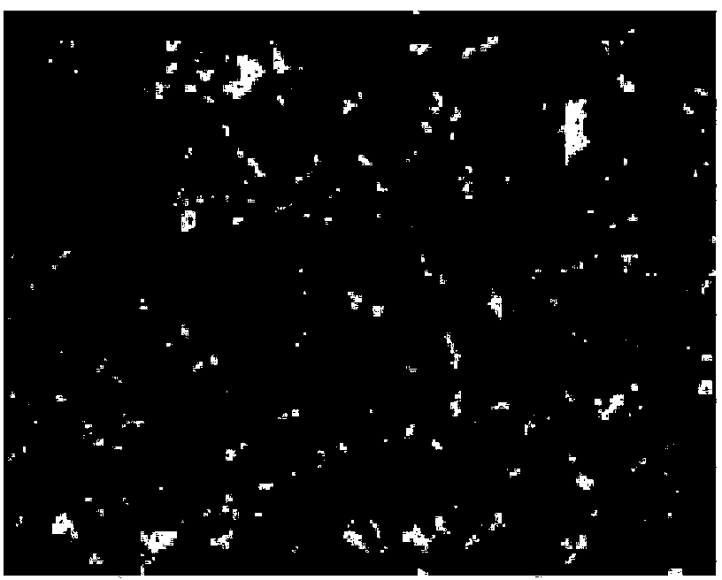 Preparation method and application of tree-like polyester-polyglycidol block polymer