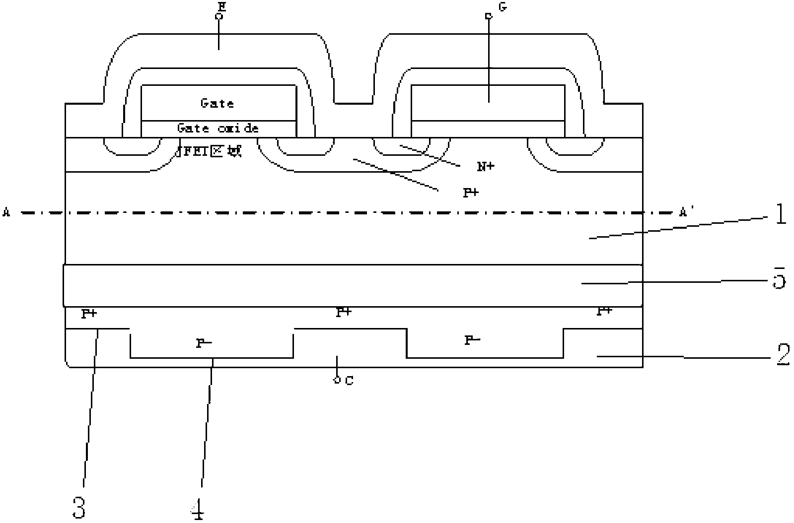 Collector back side structure of insulated gate type bipolar transistor