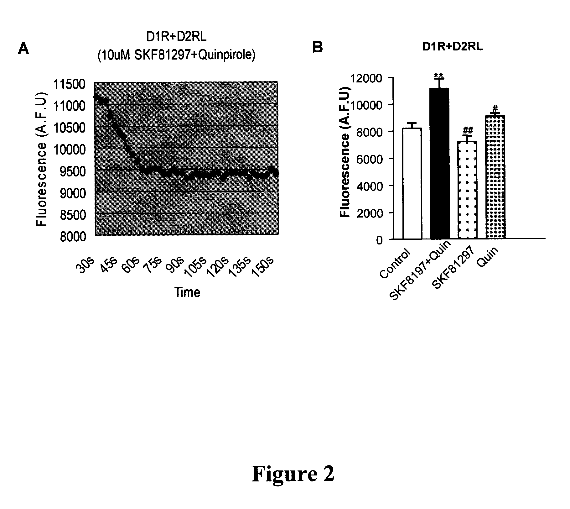 Polypeptides and methods for modulating D1-D2 dopamine receptor interaction and function