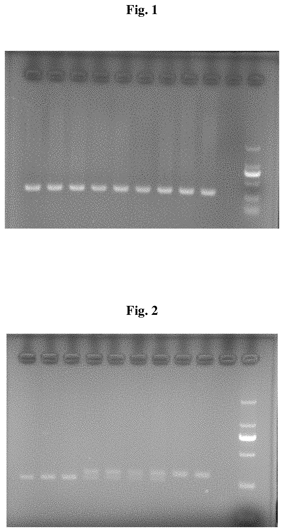 Identification of white leghorns red plumage mutagenic mutant genotype and cultivation method for supporting system of red plumage pink shell layer chickens