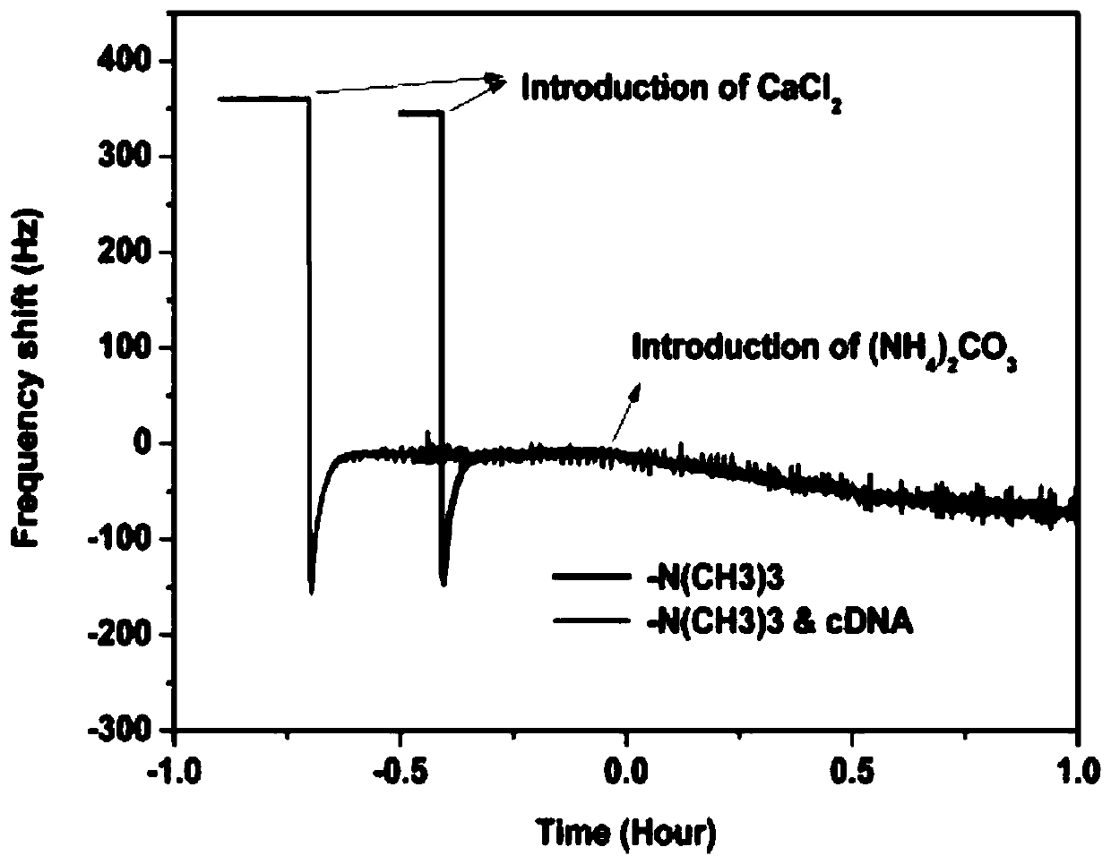 Nucleic acid sequence detection method based on QCM