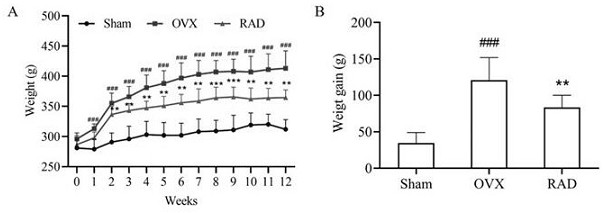 Application of radix angelicae dahuricae extract in aspect of regulating climacteric dyslipidemia