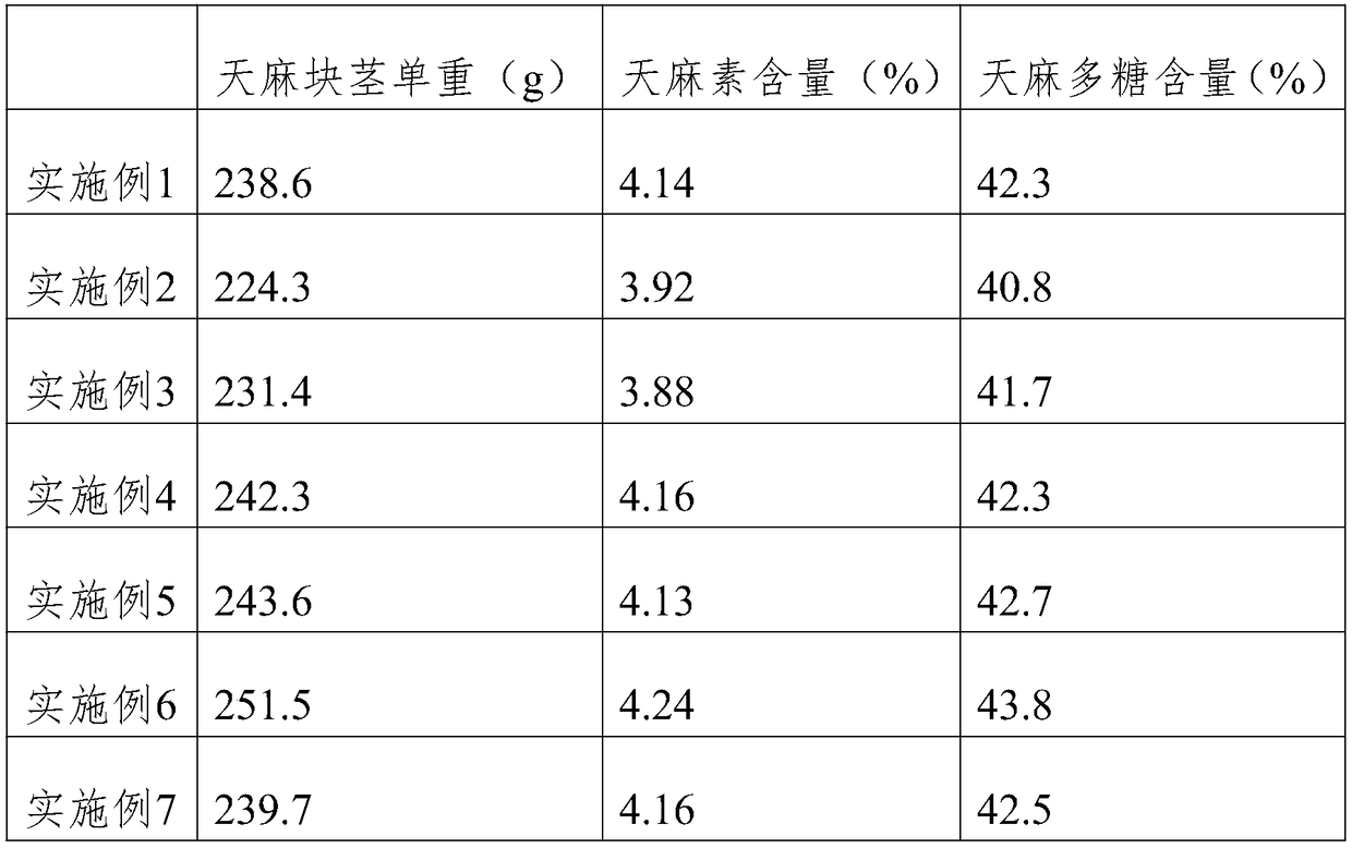 Gastrodia elata cultivation method