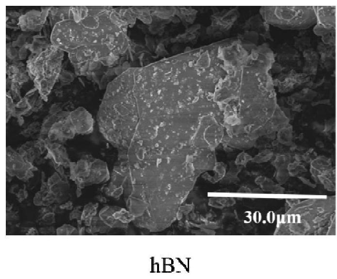 A kind of preparation method of plasma modified hexagonal boron nitride/resin composite material