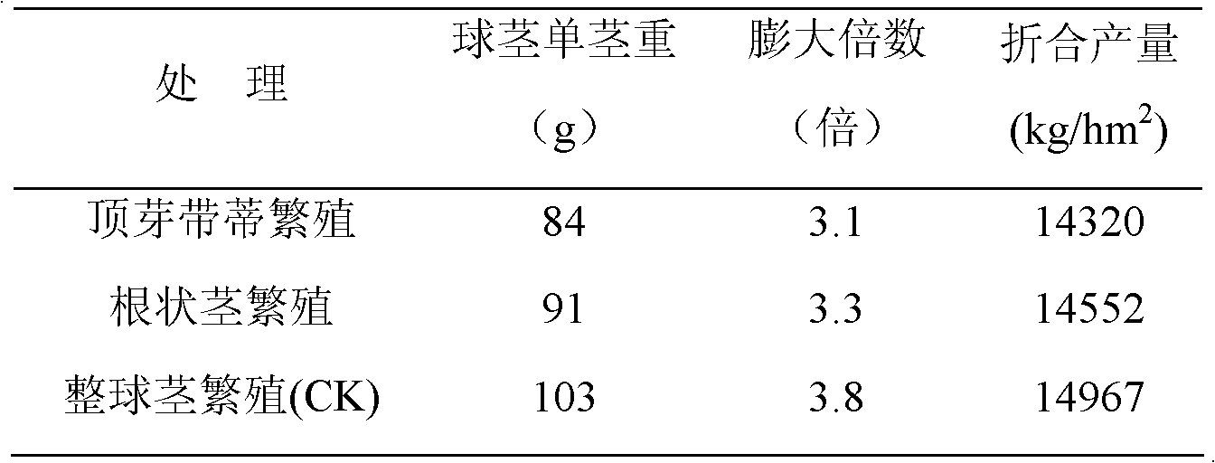 Method for cloning amorphophalms konjac