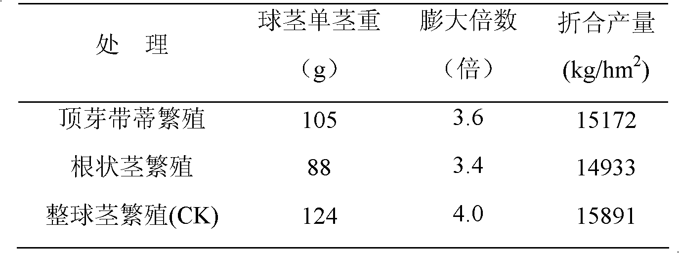 Method for cloning amorphophalms konjac