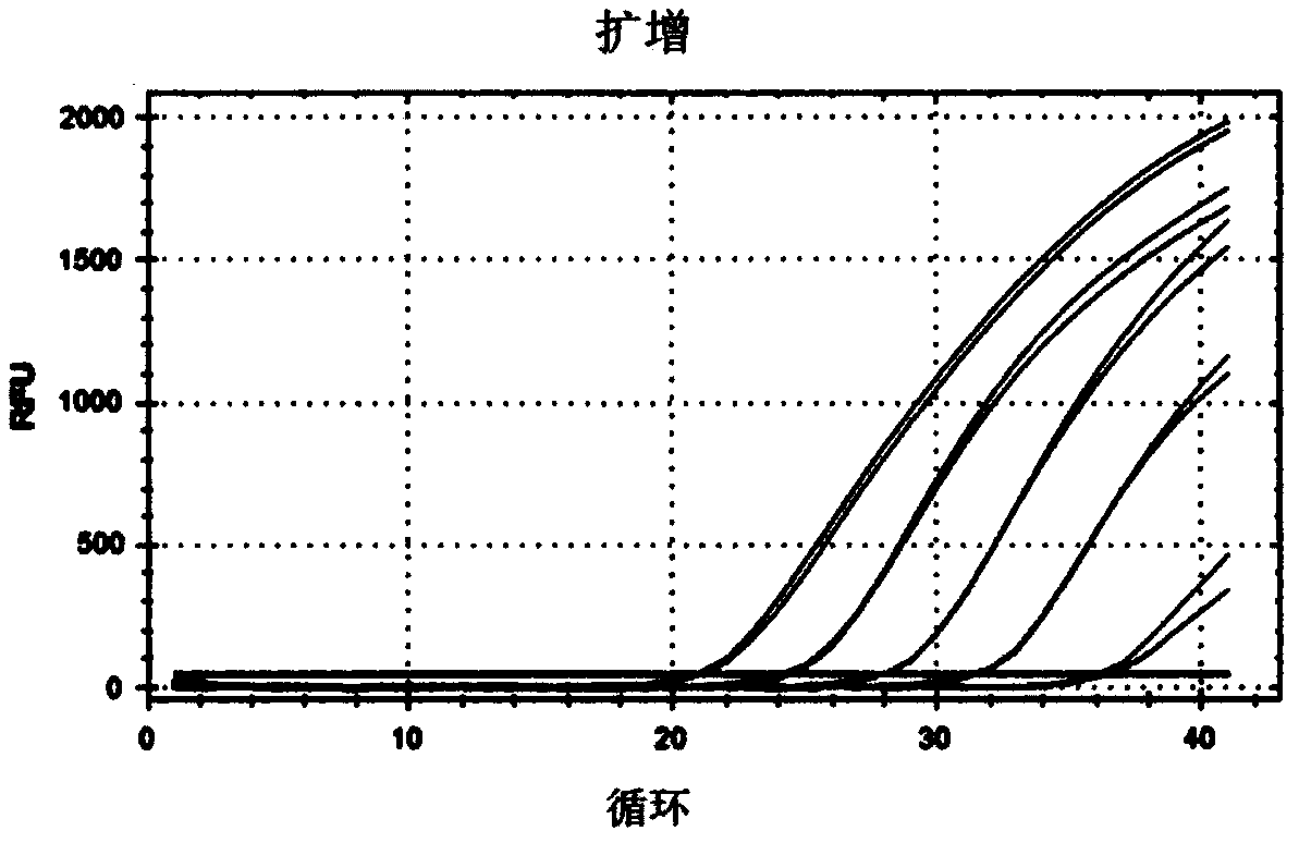 A detection kit for accurately quantifying HIV DNA and its detection method