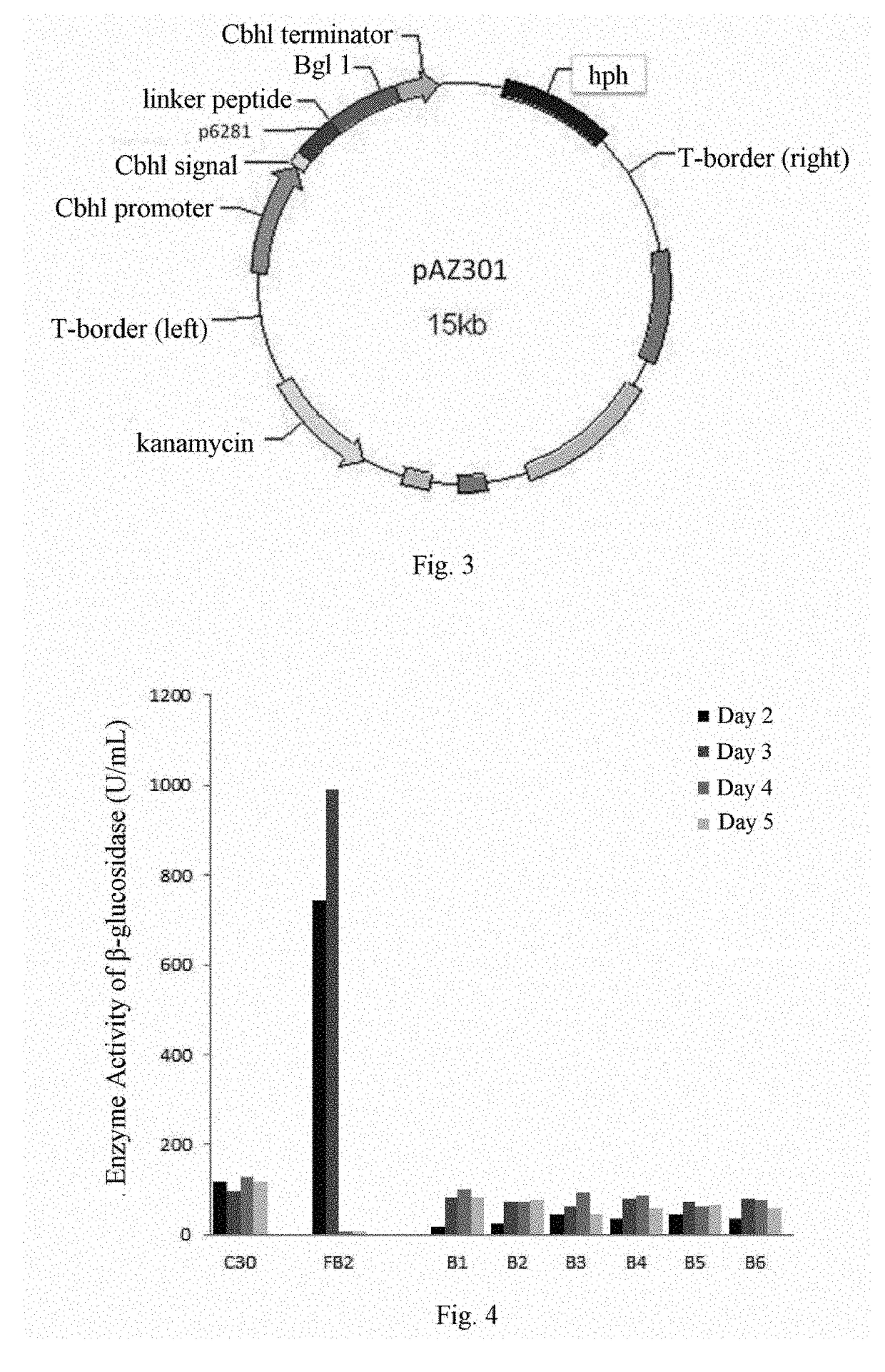 Methods for recombinant expression of beta-glucosidase gene
