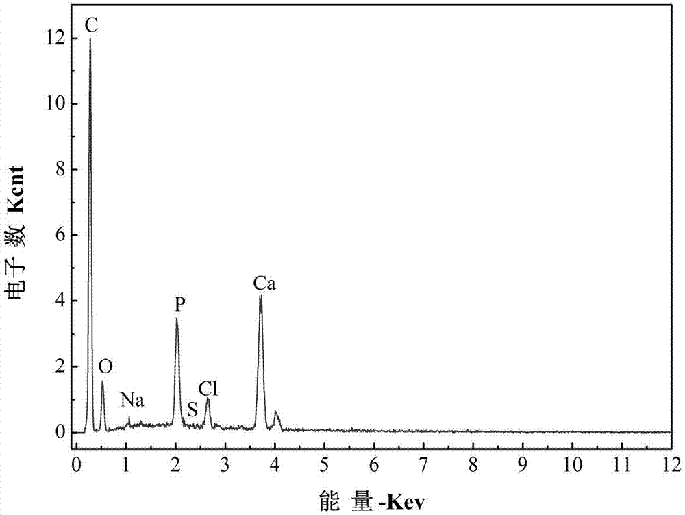 Method for stabilizing heavy metal lead in bottom mud by virtue of chlorapatite-loaded charcoal composite material