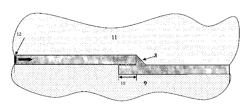 Method for detecting guide waves of steel storage tank bottom plate