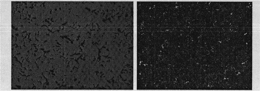 Vermiculizer for producing vermicular cast iron cylinder sleeve by centrifugal casting and preparation method thereof