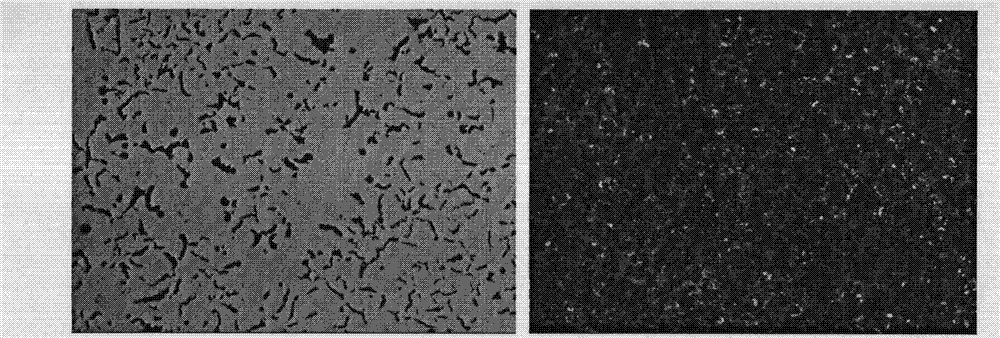 Vermiculizer for producing vermicular cast iron cylinder sleeve by centrifugal casting and preparation method thereof