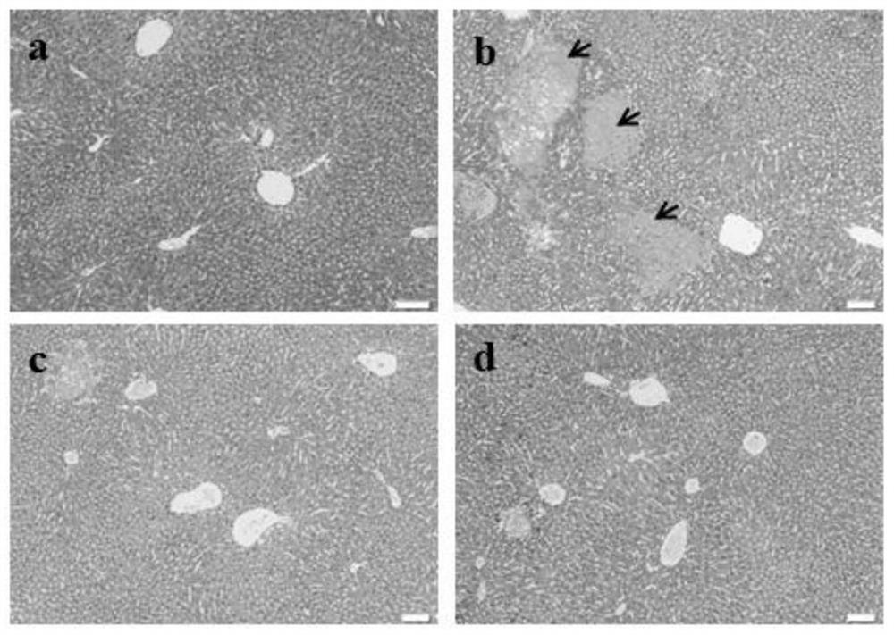 A kind of gardenia polysaccharide and its preparation method and application