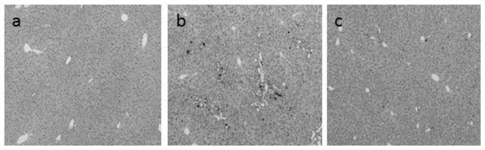 A kind of gardenia polysaccharide and its preparation method and application