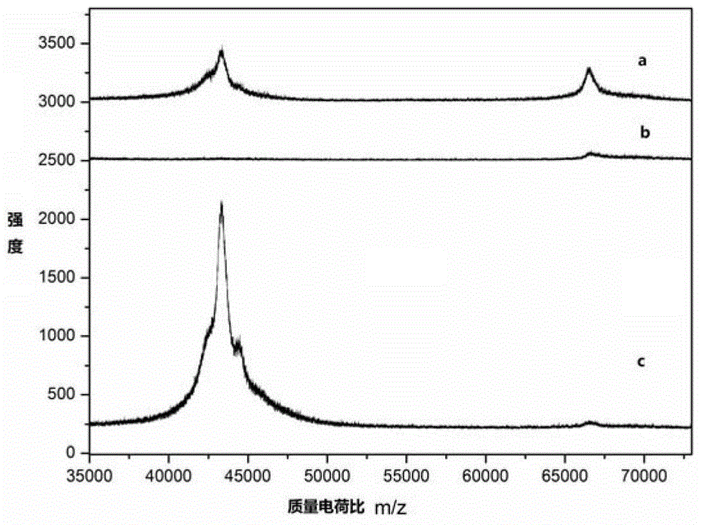 A kind of polymer microsphere and its preparation and application