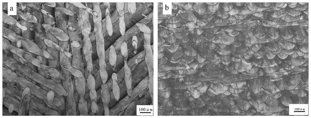 A kind of etchant suitable for deposited state gh3536 alloy and its corrosion method