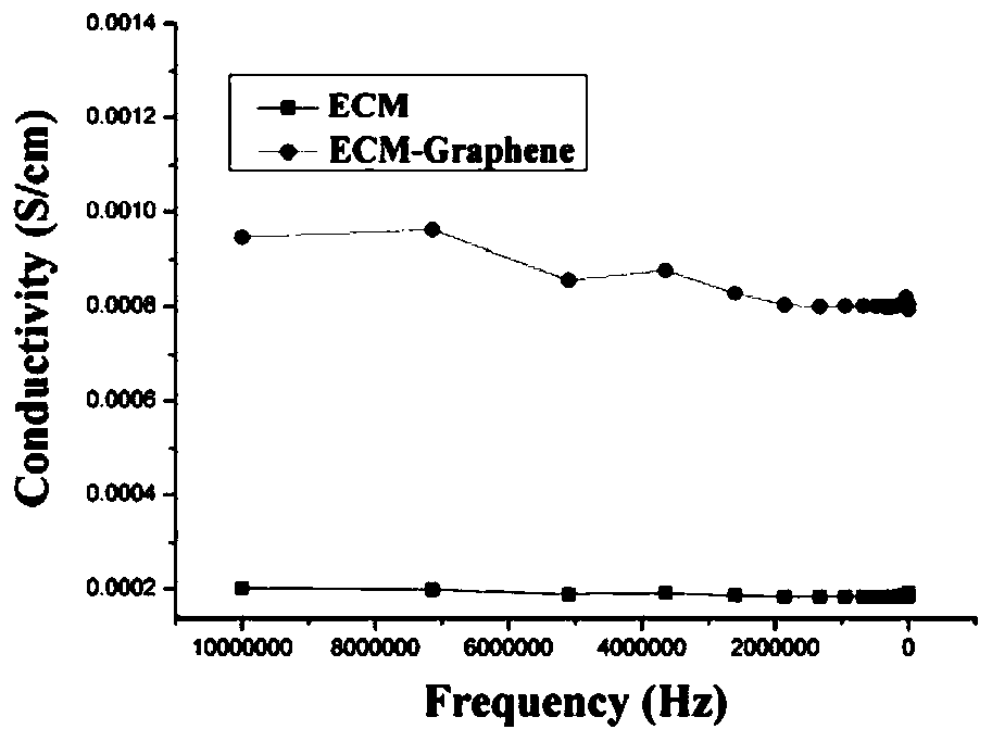 A conductive extracellular matrix composite film obtained through cell sheets and its preparation method