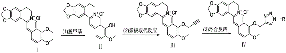 Synthesis of berberine derivatives and their application in the preparation of antineoplastic drugs and synergistic doxorubicin antineoplastic drug compositions