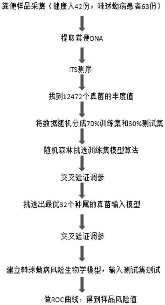 Microbial marker for echinococcosis as well as screening method and application of microbial marker